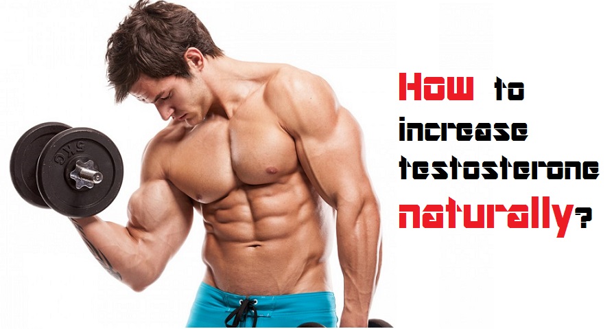 how-to-increase-testosterone